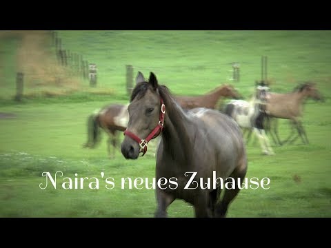 Nairas neues Zuhause! - Mustang Makeover 2017