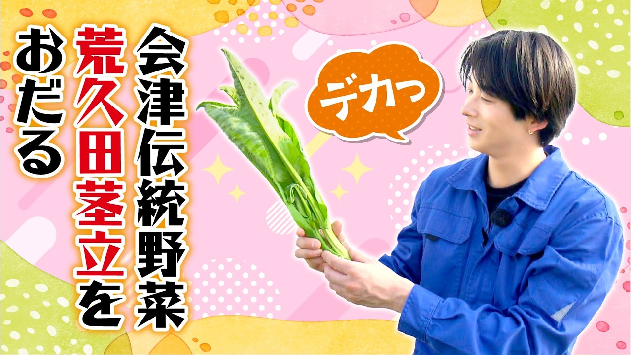 【伝統野菜を初収獲】会津伝統の荒久田茎立を澤夏が絶品メニューに！