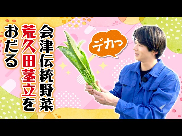 【伝統野菜を初収獲】会津伝統の荒久田茎立を澤夏が絶品メニューに！