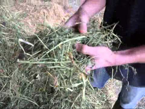 comment economiser nourriture