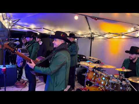 Elegancia - Cachorreando