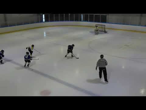 BJR09 - Pingviinit AAA 31.8.2019