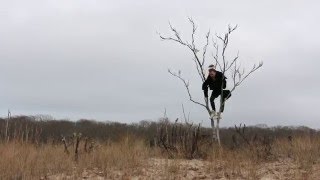 Penguin Prison - Show Me The Way (Official Music Video)