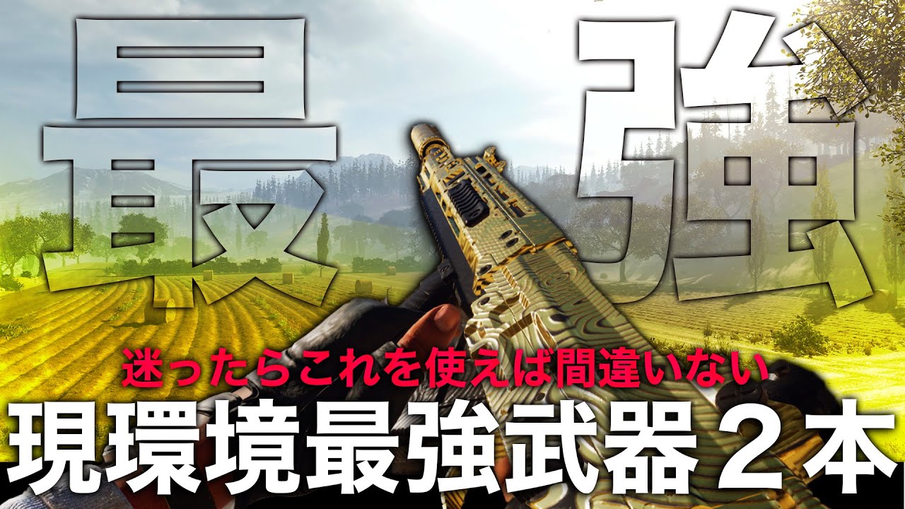 【迷うな】現環境、この２本使っておけば確実です[Warzone4]