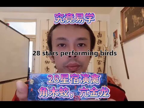 角亢氐房心尾箕