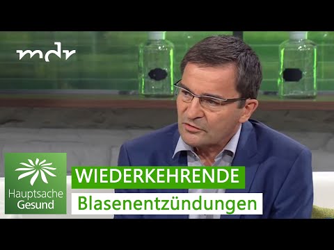 Blasenentzündungen: Alternativen zu Antibiotika | Hauptsache gesund | MDR