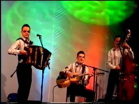 Ansambel Zakrajšek-mladi dolenci(mladi dolenci)