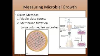 B250 C6 6 3   Population Growth