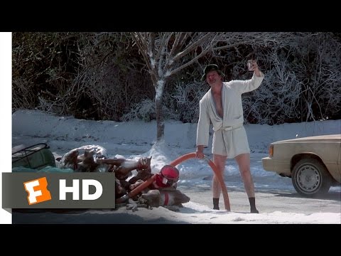 Christmas Vacation (7/10) Movie CLIP - Eddie's Sewage...