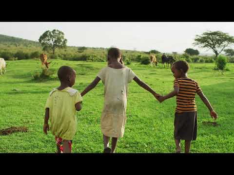 O Nada - Renato Seiji