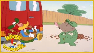 Woody Woodpecker | The Highland Games | Full Episodes