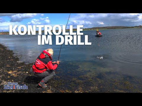 MEERFORELLEN mit ALLEN MITTELN - Unser Ziel ist Fisch - Angelschule mit JÖRG OVENS