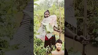 Download lagu Netting Tilapia in the swamps of south Papua || Tombak Ikan Nila di Pedalaman Papua mp3