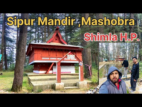 📍 Sipur Mashobra,Shimla,H.P. #sipur #mashobra #trending #himachal #mandir #shorts
