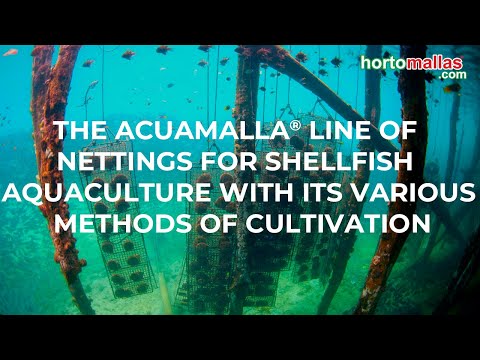 The ACUAMALLA® Line of Nettings for Shellfish Aquaculture with its Various Methods of Cultivation