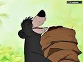 Baloo Scratching His Back