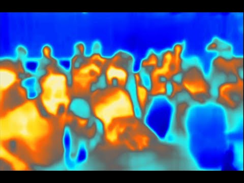 Von Bikräv - World Renown