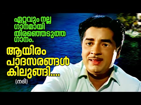 Aayiram Padhasarangal - Nadhi(1969) | K.J Yesudas | Vayalar Ramavarma | G Devarajan | Old Is Gold