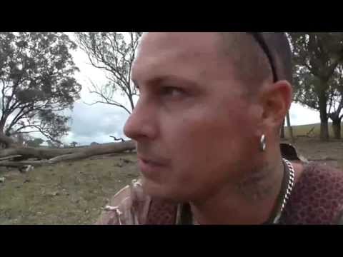 Whistling Foxes with The Best Fox Whistle SS and Original Fox Calls