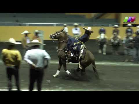 DLM278 080220 Bloque 2   2 VI Torneo de Puntas Largas  AVC  Erika Abúndez y José Arce