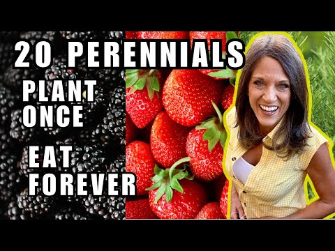 20 Edible Perennials You’ll Plant Once & Harvest Forever!