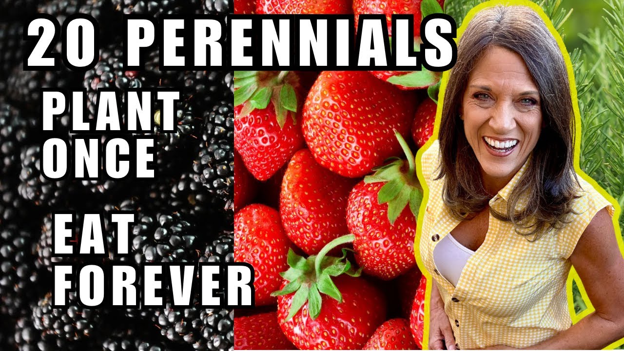 20 Edible Perennials You’ll Plant Once & Harvest Forever!