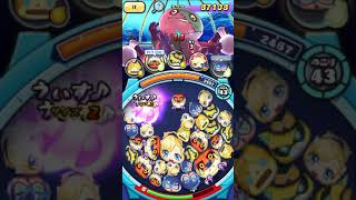 プニプニランキングやるぞー！