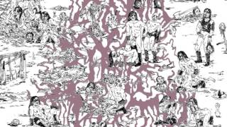 The Soft Pink Truth - Maniac