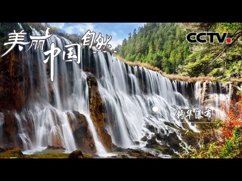 诺日朗瀑布雄伟壮观让人叹为观止！它270米的宽度也是迄今为止中国钙华瀑布的宽度之最《美丽中国自然》川西胜境系列【CCTV纪录】
