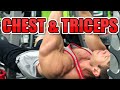 Contest Prep Chest & Triceps 8-Weeks Out