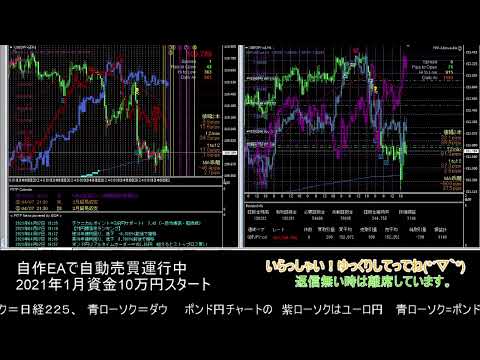 【FX】🍵MT4システムトレード自動売買🍵【EA】2021/0407