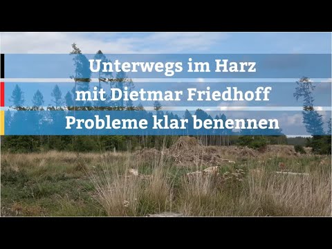 Dietmar Friedhoff MdB im Harz  :  Der deutsche Wald stirbt