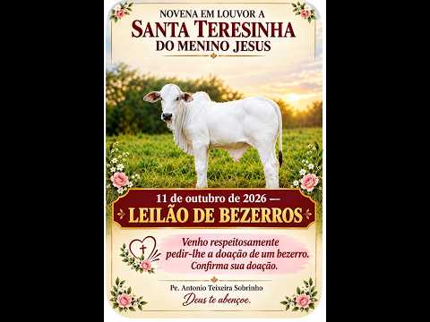 LEILÃO NOVENA A SANTA TERESINHA DO MENINO JESUS -  BOI VERDE - SANTA TEREZINHA DE GOIÁS
