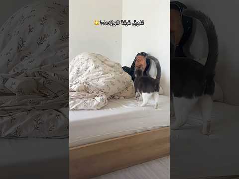 فلوق الجمعة تجهيز غرفة الولاده🐱🐈‍⬛ عطونا اسماء للبيبي؟