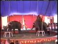 LE Barnes Circus Ele