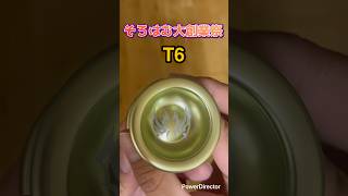 【そろはむ大創業祭⑥】「T6 - 天弓 -」を購入しました☆