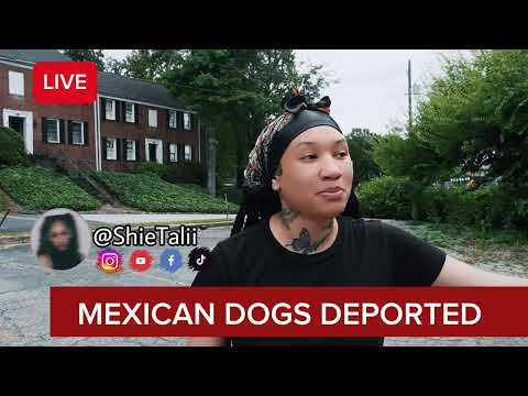 I.C.E DEPORTING DOGS FROM ATLANTA NEIGHBORHOOD ! VICTIMS SPEAK!