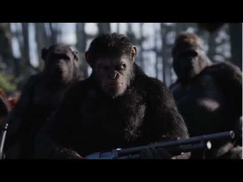 Hurk - NBA Youngboy I kno Freestyle