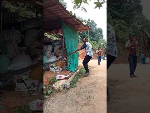 297th King cobra rescue #kingcobra #india #