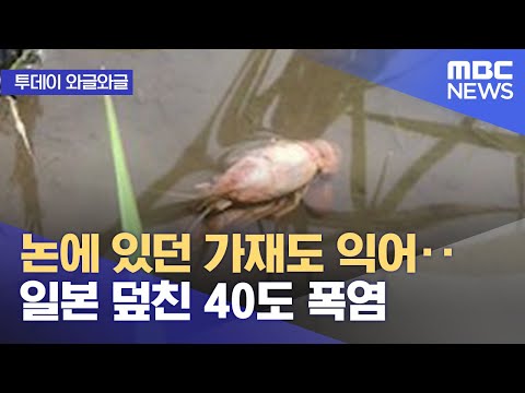 아이콘