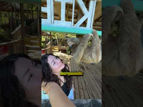 Uyanınca Yaptığı Şeye Bakın! 😳