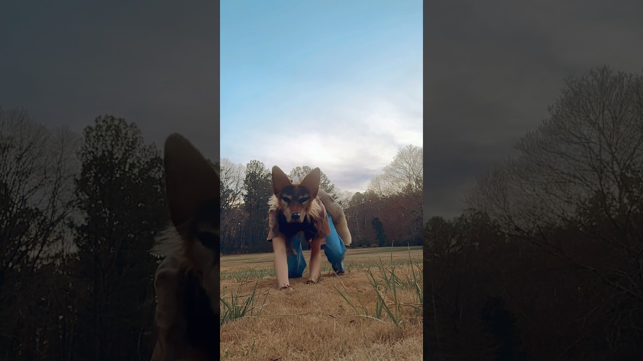 oh yea um hi [ #quads #quadrobist #auadrobics #furry #mask #silly #notathetian ]