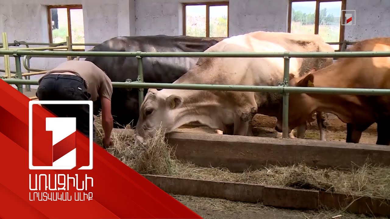 Հոկտեմբերի 11-ից մինչև 31-ը Հայաստանում անցկացվելու է գյուղատնտեսական համատարած հաշվառում