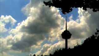 Roger van Lunteren - watery