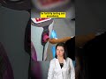 Would You Ever Use This Sperm Collection Machine