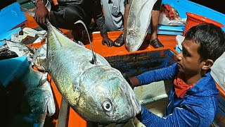 Download lagu gasak mancing di sebelah malam pada petangnya ngacar umpan ikan selayang  mp3