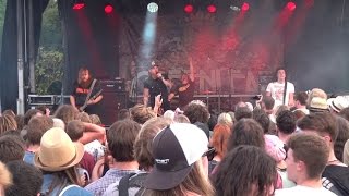 GREENLEAF - A Million Fireflies (live 2016)