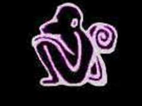 new monkey - summer dreams of love