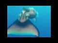 Ken Nordine Project - Blue