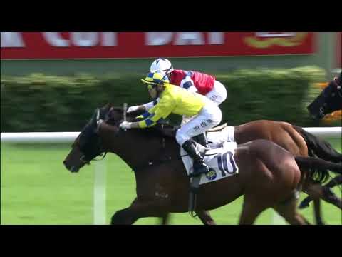 29/11/2020 (222) Adonis - C L Chau